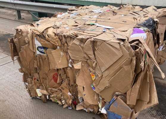 whatsapp image 2026 04 20 at 2.40.32 pm 1 cropped