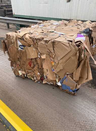 whatsapp image 2026 04 20 at 2.40.32 pm cropped